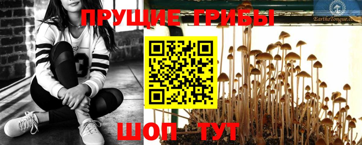 Галлюциногенные грибы ЛСД Назарово