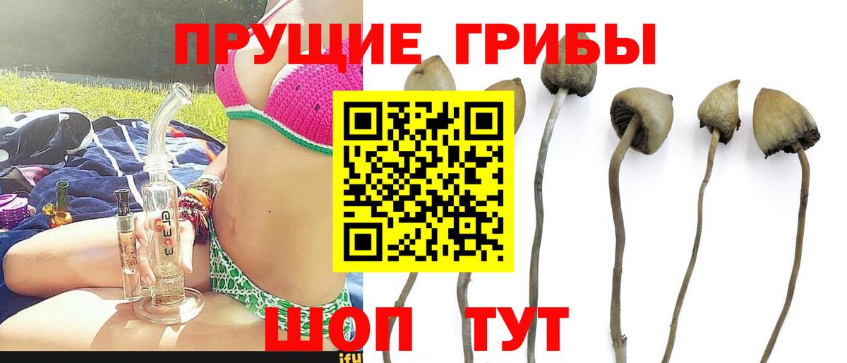 Псилоцибиновые грибы Psilocybine cubensis  Вход с VPN  Галлюциногенные грибы ЛСД  Назарово 